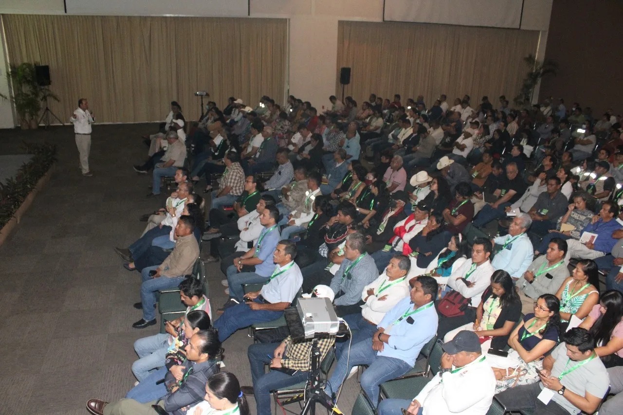 Conferencia en auditorio