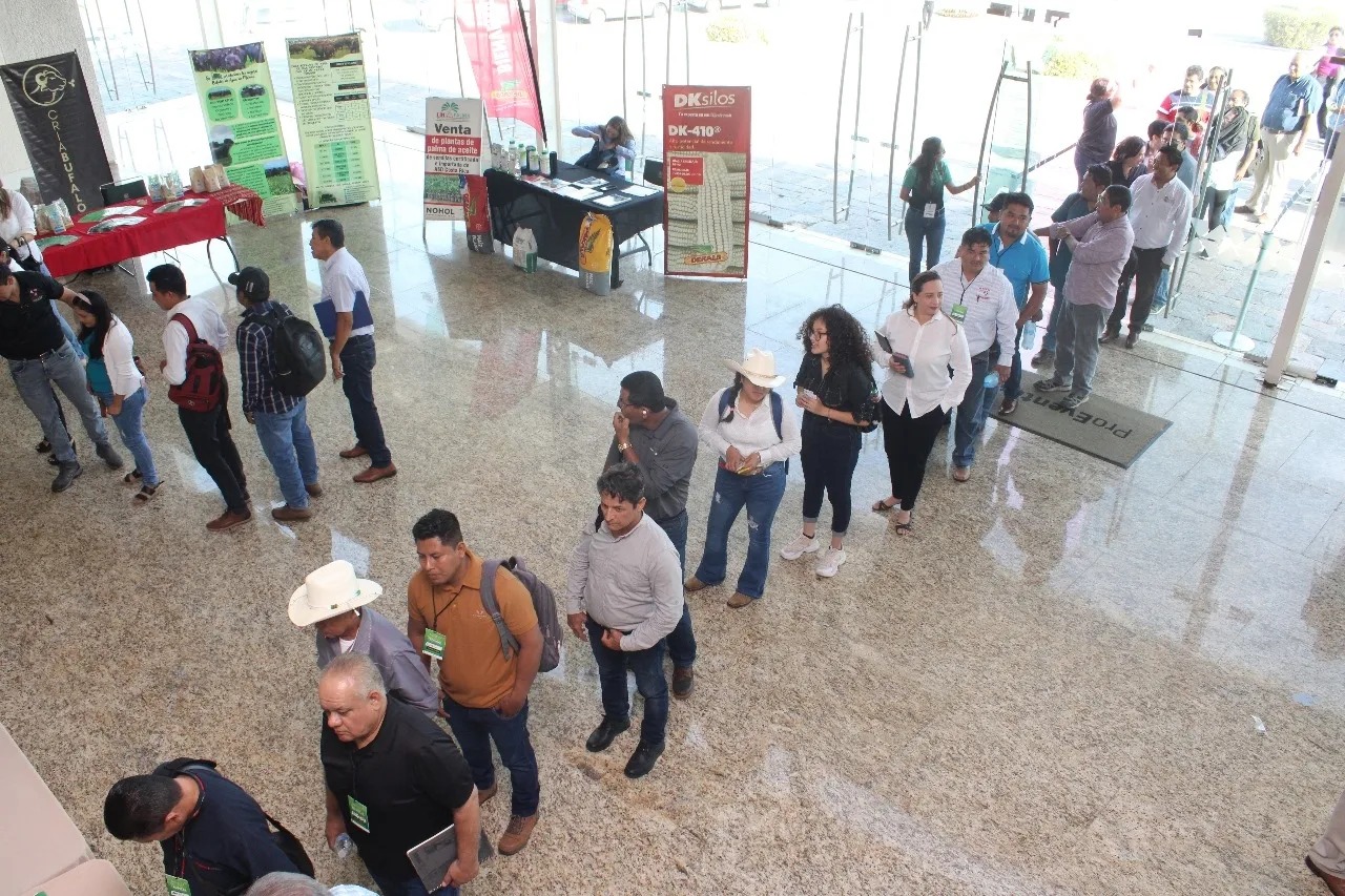 Stands de exhibición