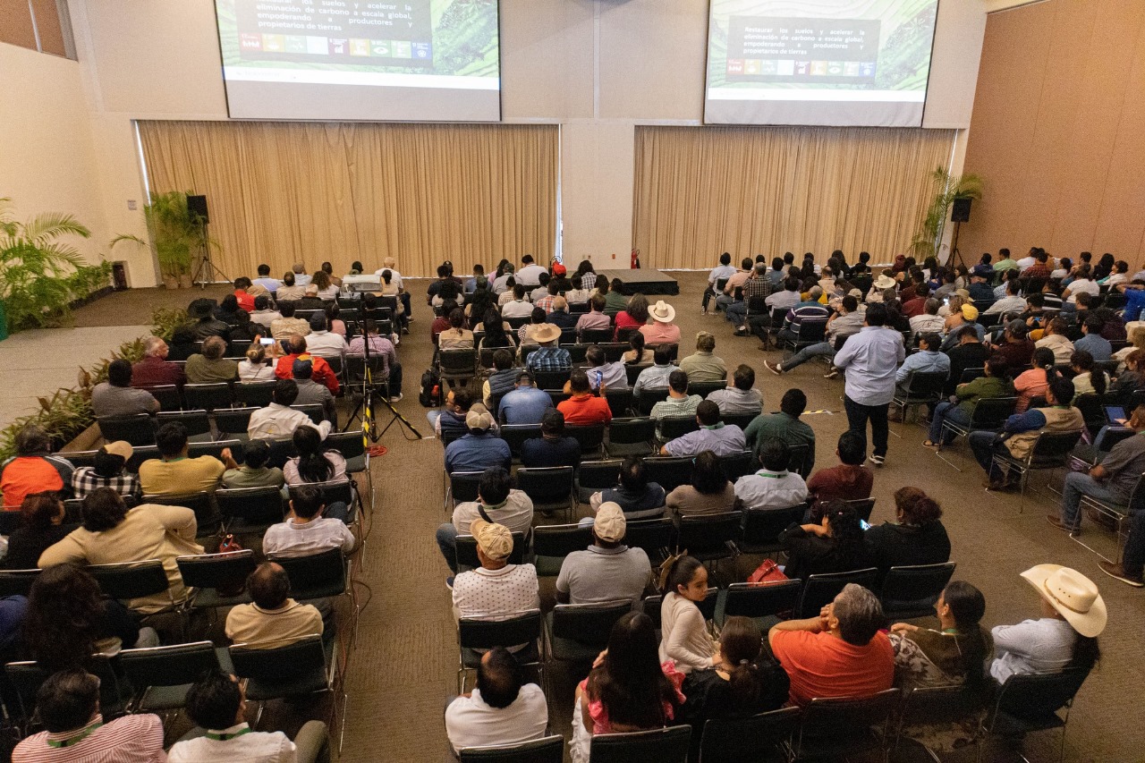 Audiencia en conferencia